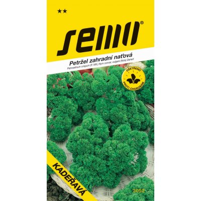 SEMO Petržel naťová Kudrnka kadeřavá 4 g – Zboží Dáma