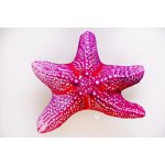 Gaby Polštář Hvězdice mořská 50 cm – Zboží Dáma