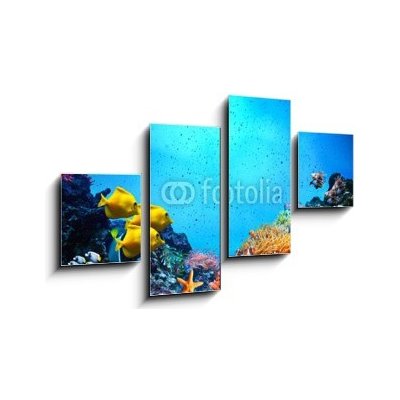 Obraz 4D čtyřdílný - 100 x 60 cm - Underwater scene. Coral reef, fish groups in clear ocean water Podvodní scéna. Korálový útes, rybí skupiny v čisté mořské vodě – Zboží Mobilmania