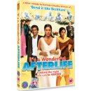 It's A Wonderful Afterlife DVD