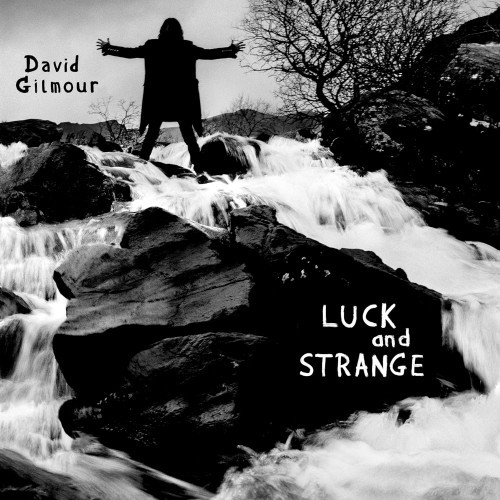 Gilmour David - Luck and Strange Silver Vinyl LP