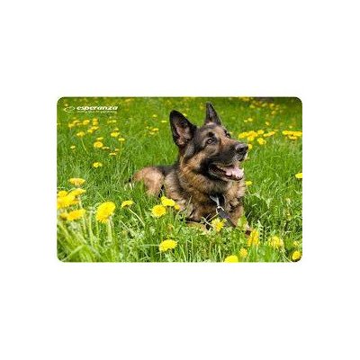 ESPERANZA EA146D – Zbozi.Blesk.cz