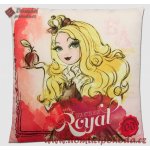 CTI polštář Ever After High 40x40 – Sleviste.cz