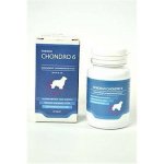 Univit Roboran Chondro 6 60 tbl – Hledejceny.cz