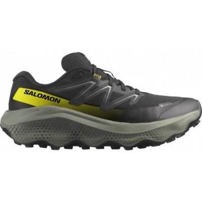 Salomon Ultra Flow 2 Gtx pánské nízké nepromokavé trailové běžecké 8832 black – Hledejceny.cz