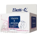 Elasti-Q Vitamins & Minerals s postupným uvolňováním 30 tablet – Hledejceny.cz