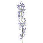 Trojpuk (Deutzia) fialová (lavendel) délka 100 cm – Hledejceny.cz