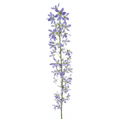 Trojpuk (Deutzia) fialová (lavendel) délka 100 cm – Hledejceny.cz
