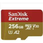 SanDisk microSDXC 256 GB SDSQXA1-256G-GN6MA – Zboží Živě