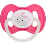 Canpol babies Bunny and Company šidítko kaučuk třešinka modrá s ovečkou – Zbozi.Blesk.cz