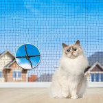 Trixie Ochranná síť černá 8 x 3 m – Hledejceny.cz