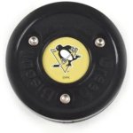 Green Biscuit NHL Pittsburgh Penguins – Hledejceny.cz