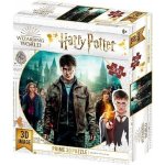 SPA 3D puzzle Harry Potter Harry, Hermiona a Ron 300 ks – Zboží Mobilmania