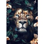 Norimpex Diamantové malování Ukrytý lev 30 x 40 cm – Zbozi.Blesk.cz