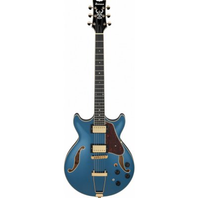 Ibanez AMH90 – Hledejceny.cz