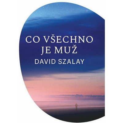 Co všechno je muž - David Szalay – Hledejceny.cz