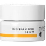 Dr. Hauschka Eye And Lip Care balzám na rty s vyživujícím účinkem 4,5 ml – Zboží Dáma