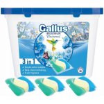 Gallus Universal tablety 30 PD – Sleviste.cz