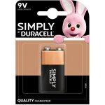Duracell Basic MN1604 9V 1ks 10PP100010 – Hledejceny.cz