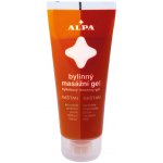 Alpa bylinný gel s kaštanem 100 ml – Sleviste.cz