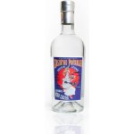 Cousin Jeune 65% 0,7 l (holá láhev) – Zboží Dáma