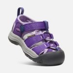 Keen Newport H2 Tots tillandsia purple english lave – Hledejceny.cz