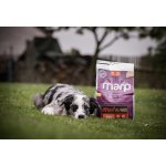 Marp Holistic Red Mix Grain Free hovězí krůtí zvěřina 2 kg – Hledejceny.cz