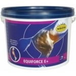 Havens EquiForce E+ 1 kg – Hledejceny.cz