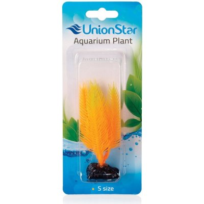 Union Star rostlina UH AP027 10 cm – Sleviste.cz