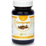 Natural Pharm Cordyceps 100 tablet – Hledejceny.cz