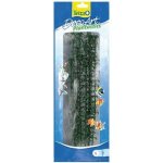 Tetra Hygrophila L 30 cm – Sleviste.cz