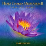 Karunesh - Heart Chakra Meditation 2 Coming Home CD – Zboží Mobilmania