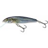 Návnada a nástraha Salmo Minnow floating 5cm Spirlin