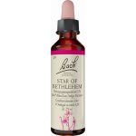 Bachovy květové esence Snědek okoličnatý Star of Bethlehem 20 ml – Hledejceny.cz