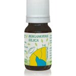 Hanus Bergamot - éterický olej 5 ml – Hledejceny.cz