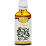 Naděje Bříza bělokorá tinktura z pupenů 25 ml – Hledejceny.cz