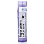 HEPAR SULFURIS CALCAREUM POR 30CH GRA 4G – Hledejceny.cz