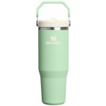 Stanley IceFlow Flip Straw 2.0 Tumbler 890 ml Pistachio – Sleviste.cz