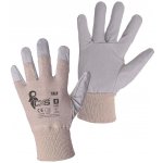 CXS TALE – HobbyKompas.cz