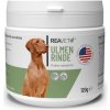 Vitamíny pro psa Reavet Přírodní jilmová kůra pro psy a kočky 120 g