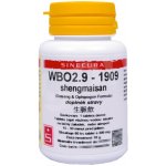 Sinecura WBO2.9-1909 shengmai san 60 tablet – Hledejceny.cz