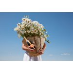 Chandon Garden Spritz 11,5% 0,75 l (holá láhev) – Sleviste.cz