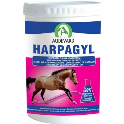 RealVet Harpagyl 450 g – Hledejceny.cz