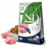 N&D Ancestral Grain Dog Adult Medium & Maxi Lamb & Blueberry 12 kg – Zboží Mobilmania