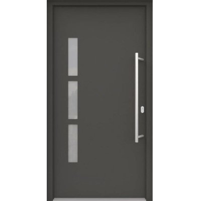 ARON vchodové dveře 3131-2 antracit 100 x 200 cm P – Hledejceny.cz