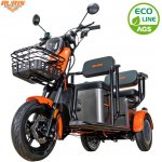 RURIS PILOT 3020G E-tříkolka osobní – Sleviste.cz