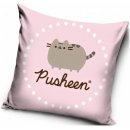 Carbotex Polštář Kočička Pusheen 40x40