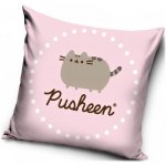 Carbotex Polštář Kočička Pusheen 40x40 – Zboží Dáma
