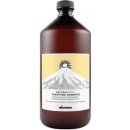 Šampon Davines NATURALTECH Purifying čistící šampon na mastné nebo suché lupy 1000 ml