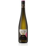 Weingut Jakob Jung Alre Reben Ryzlink rýnský suché bílé 2023 12,5% 0,75 l (holá láhev) – Hledejceny.cz